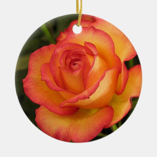 De Cerâmica Ornamento Rosa Laranja (Frente)