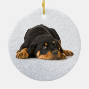 De Cerâmica Ornamento Rottweiler