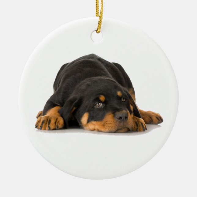 De Cerâmica Ornamento Rottweiler (Frente)