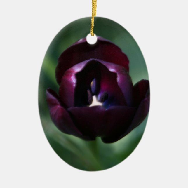 De Cerâmica Ornamento roxo do feriado do Natal da tulipa (Frente)