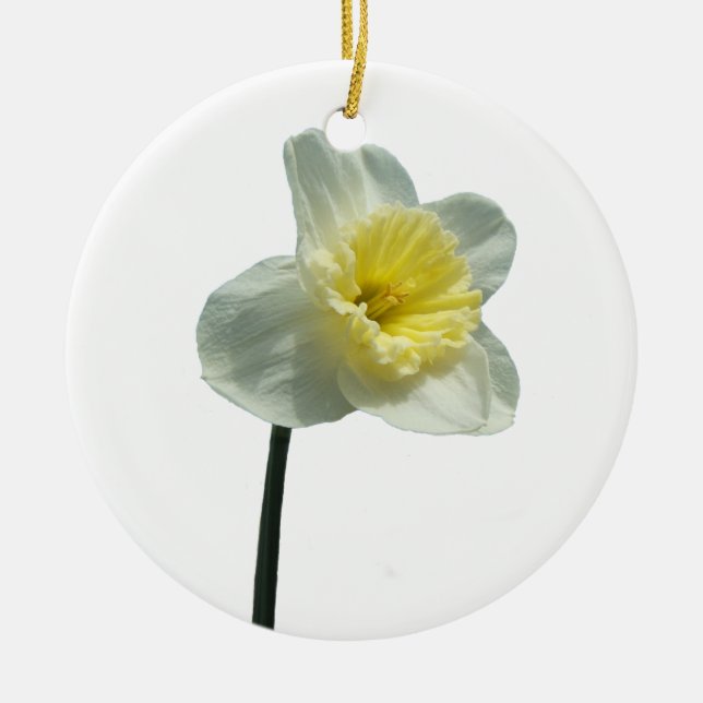 De Cerâmica Ornamento Ruffled do ~ do Daffodil (Frente)
