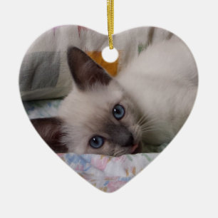 De Cerâmica Ornamento Siamese do gatinho