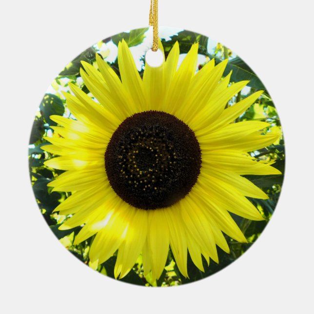 De Cerâmica Ornamento Sunny Sunflower (Traseira)
