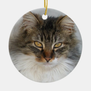 De Cerâmica Ornamento Tabby Cat