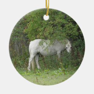 De Cerâmica Ornamento tímido do cavalo branco