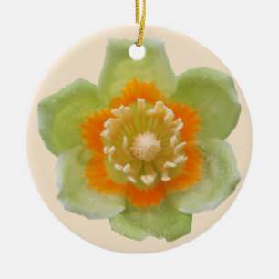 De Cerâmica Ornamento - Tulip Poplar Tulip na Creme