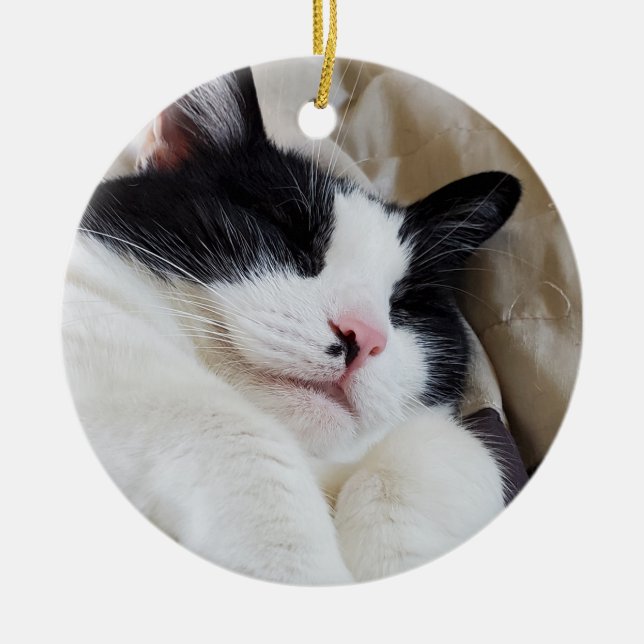 De Cerâmica Ornamento Tuxedo Cat (Frente)