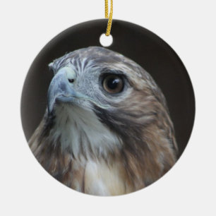 De Cerâmica Ornamento vermelho do falcão da cauda