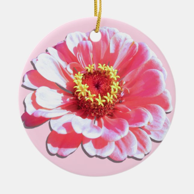 De Cerâmica Ornamento - Zinnia Rosa (Frente)