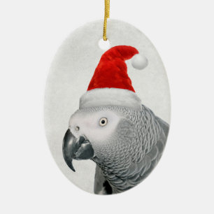 De Cerâmica Papagaio-Cinza africano em Ornamento Santa Hat