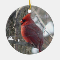 Pássaro cardinal da fotografia-canção no ornamento