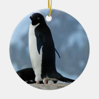 De Cerâmica Pinguim no ornamento da Antártica
