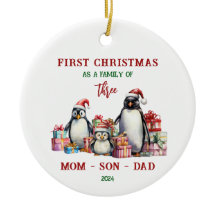 Primeiro Natal Como Ornamento Familiar