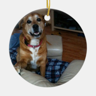 De Cerâmica Seu cachorro em um ornamento