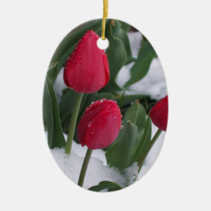 De Cerâmica Tulipas no ornamento da neve