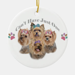 De Cerâmica Yorkie você não pode ter apenas um ornamento