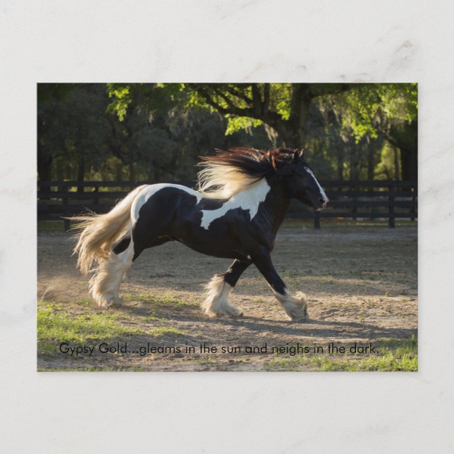 De Convite Cartão postal cigano Dourado (Frente)