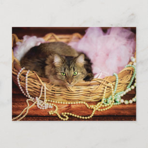 De Convite cartão postal da festa