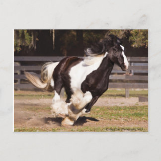 De Convite Cartão postal Gypsy Dourado Vanner