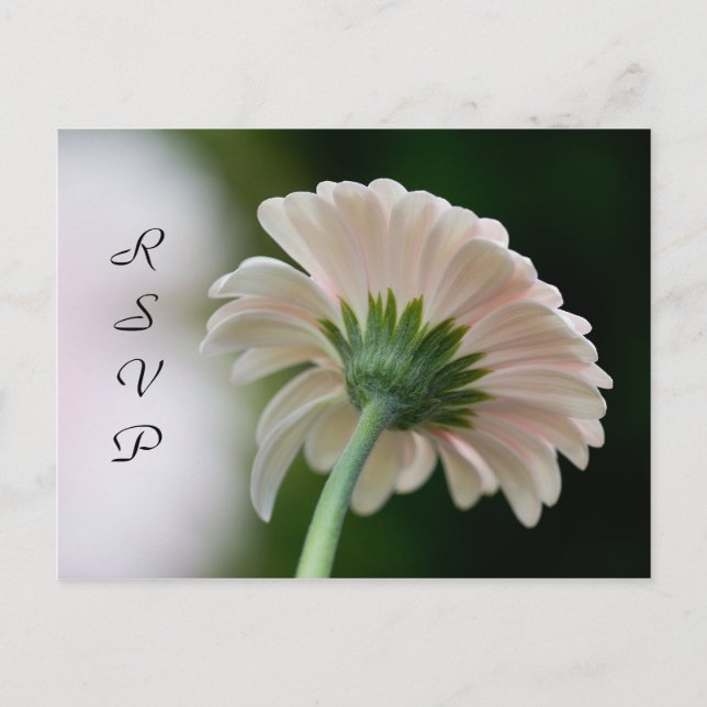 De Convite Cartão postal RSVP (Frente)