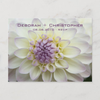 De Convite Purple Dahlia - Cartão postal RSVP