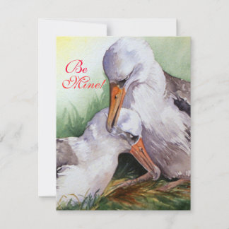De Festividades Albatrozes no Cartão do Dia dos Namorados