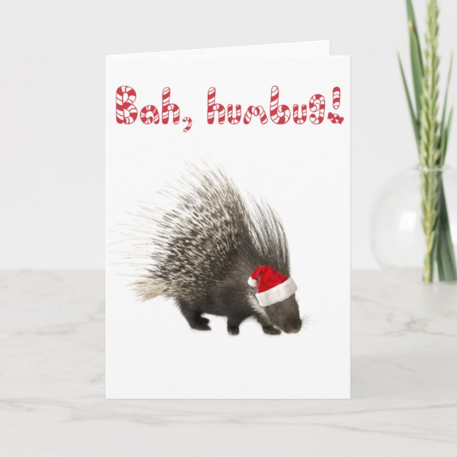 De Festividades Bah, humbug! Cartão Porcupine (Frente)
