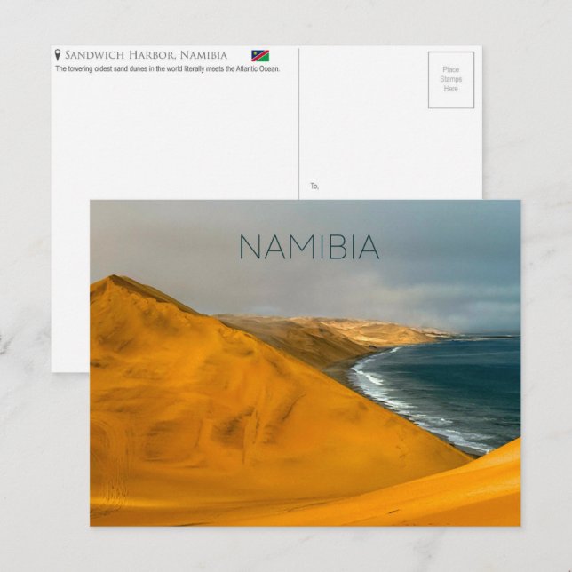 De Festividades Baía dos Golfinhos, Namíbia Cartão Postal (Frente/Verso)