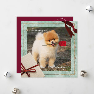 De Festividades Bom Natal Pomeraniano Eu tenho sido um bom cartão