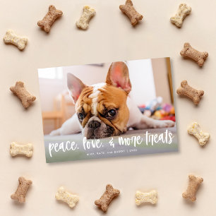 De Festividades Cachorro Engraçado Tenta Cartão com fotos Feriado