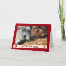 Cães Esperando pelo Papai Noel - Cartão Divertido