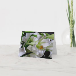 De Festividades Cartão #1 00678900 da páscoa