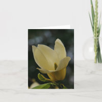 Cartão Amarelo Magnolia