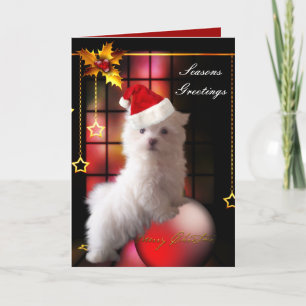 De Festividades Cartão Cachorro Cachorrinho Maltês Branco Natal