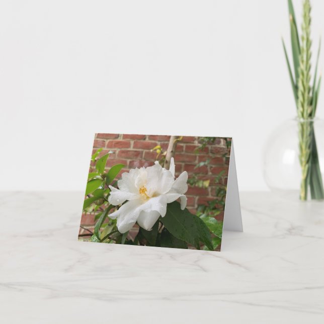 De Festividades Cartão Camellia (em branco) (Frente)