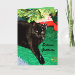 De Festividades Cartão CAT PRETO CHRISTMAS