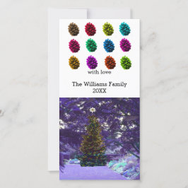 De Festividades Cartão com fotos Pine Cones Multicolor