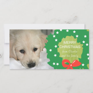 De Festividades Cartão com fotos verde do cão do Feliz Natal da