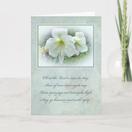 De Festividades Cartão da páscoa - Amaryllis branco
