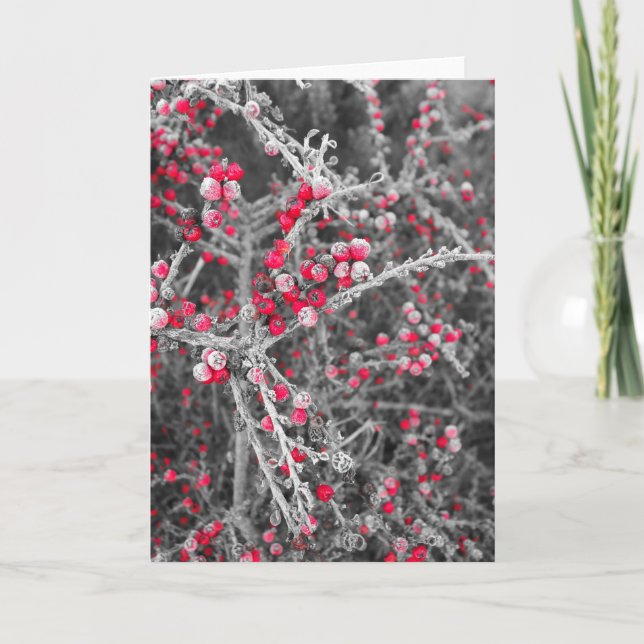 De Festividades Cartão das bagas do fosco (Frente)