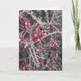 De Festividades Cartão das bagas do fosco