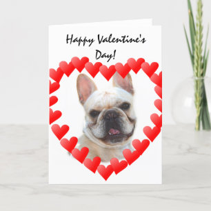 De Festividades Cartão do buldogue francês do feliz dia dos