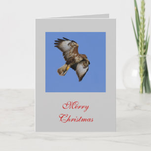 De Festividades Cartão do Buzzard