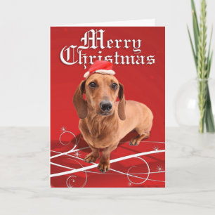 De Festividades Cartão do Dachshund do Feliz Natal