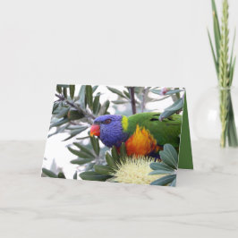 De Festividades Cartão do Dia dos Namorados com Lorikeet