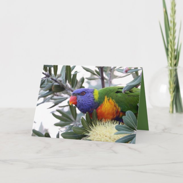 De Festividades Cartão do Dia dos Namorados com Lorikeet (Frente)