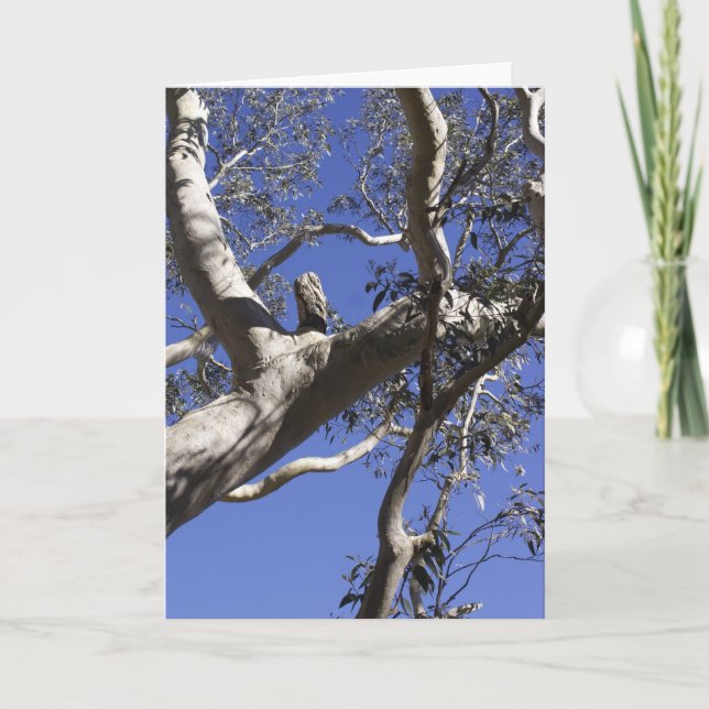 De Festividades Cartão do feriado, marismas (Frente)