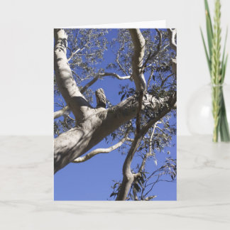 De Festividades Cartão do feriado, marismas