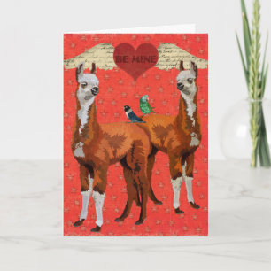 De Festividades Cartão dos namorados do coração dos LAMAS & das
