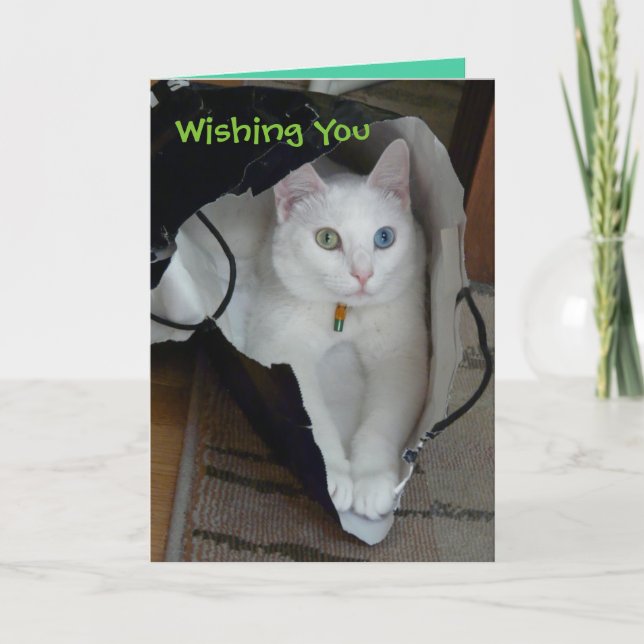 De Festividades Cartão ensacado serenidade do feriado (Frente)